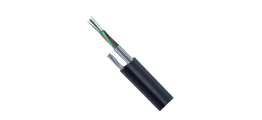 GYTC8S 24 de nuclee
